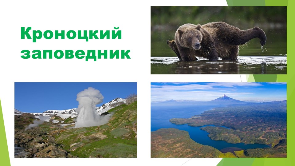 Презентация по окружающему миру 3 класс Парки, заповедники и заказкники Камчатки - Скачать школьные презентации PowerPoint бесплатно | Портал бесплатных презентаций school-present.com