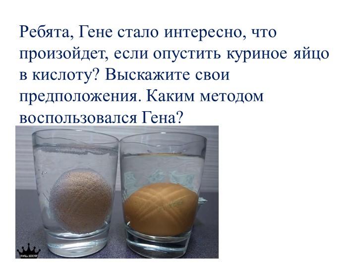 Презентация по биологии на тему "Эксперимент в биологии" - Скачать школьные презентации PowerPoint бесплатно | Портал бесплатных презентаций school-present.com