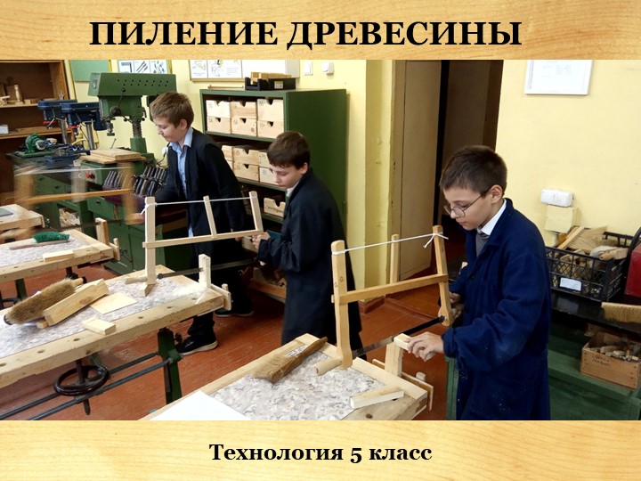 Презентация по технологии "Пиление древесины" 5 класс - Скачать школьные презентации PowerPoint бесплатно | Портал бесплатных презентаций school-present.com