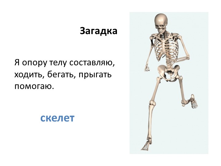 Презентация по миру природы и человека по теме: "Для чего нужен скелет человека". - Скачать школьные презентации PowerPoint бесплатно | Портал бесплатных презентаций school-present.com