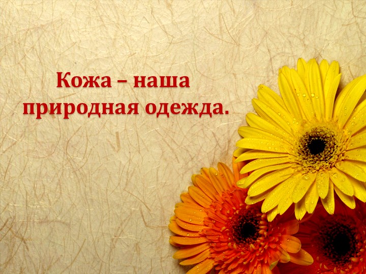 Презентация по миру природы и человека по теме: "Кожа" - Скачать школьные презентации PowerPoint бесплатно | Портал бесплатных презентаций school-present.com