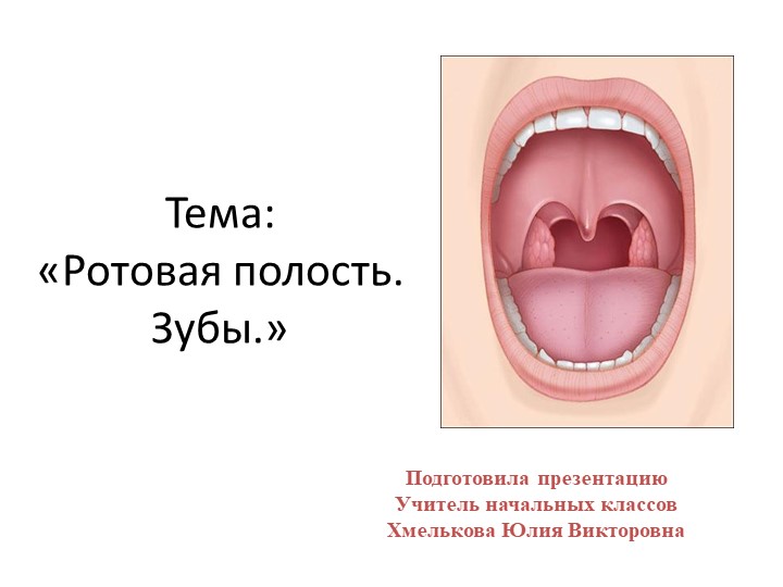 Презентация по миру природы и человека по теме: "Рот". - Скачать школьные презентации PowerPoint бесплатно | Портал бесплатных презентаций school-present.com