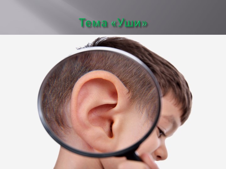 Презентация по миру природы и человека по теме: "Уши". - Скачать школьные презентации PowerPoint бесплатно | Портал бесплатных презентаций school-present.com