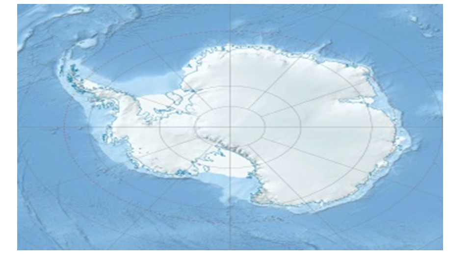Презентация к уроку окружающего мира по теме "Где живут белые медведи?" - Скачать школьные презентации PowerPoint бесплатно | Портал бесплатных презентаций school-present.com
