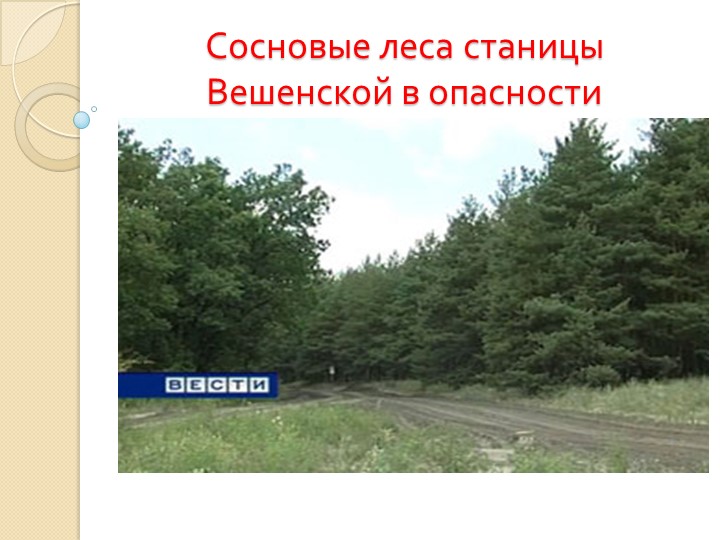 Презентация по экологии"Сосновые леса станицы Вешенской в опасности" - Скачать школьные презентации PowerPoint бесплатно | Портал бесплатных презентаций school-present.com