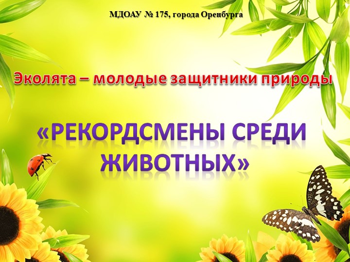 Презентация "Эколята - молодые защитники природы" "Рекордсмены среди животных" - Скачать школьные презентации PowerPoint бесплатно | Портал бесплатных презентаций school-present.com