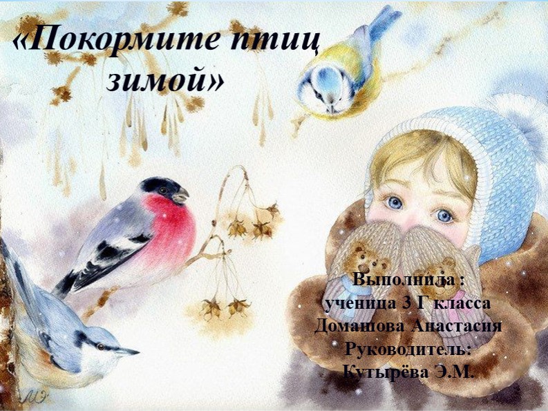 Презентация "Зимующие птицы Башкортостана" - Скачать школьные презентации PowerPoint бесплатно | Портал бесплатных презентаций school-present.com