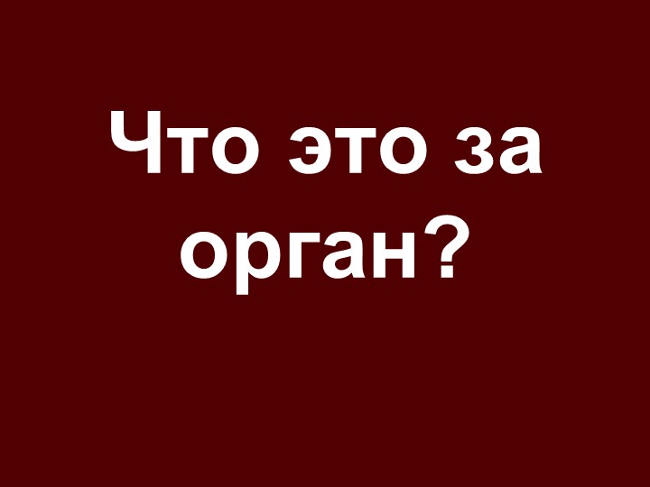 "Строение и функции кожи" - Скачать школьные презентации PowerPoint бесплатно | Портал бесплатных презентаций school-present.com