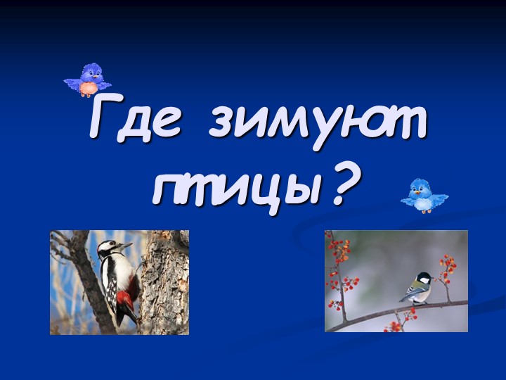 "Где зимуют птицы" презентация к уроку окружающего мира" - Скачать школьные презентации PowerPoint бесплатно | Портал бесплатных презентаций school-present.com