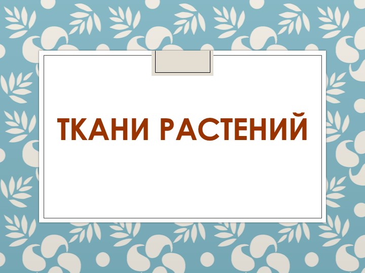 Презентация по биологии "Ткани растений" 6 класс - Скачать школьные презентации PowerPoint бесплатно | Портал бесплатных презентаций school-present.com