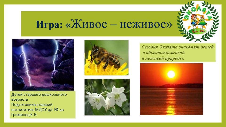Игра для старших дошкольников для закрепления понятия "живая природа", "неживая природа". В этом им помогут Эколята-дошколята-защитники природы. - Скачать школьные презентации PowerPoint бесплатно | Портал бесплатных презентаций school-present.com