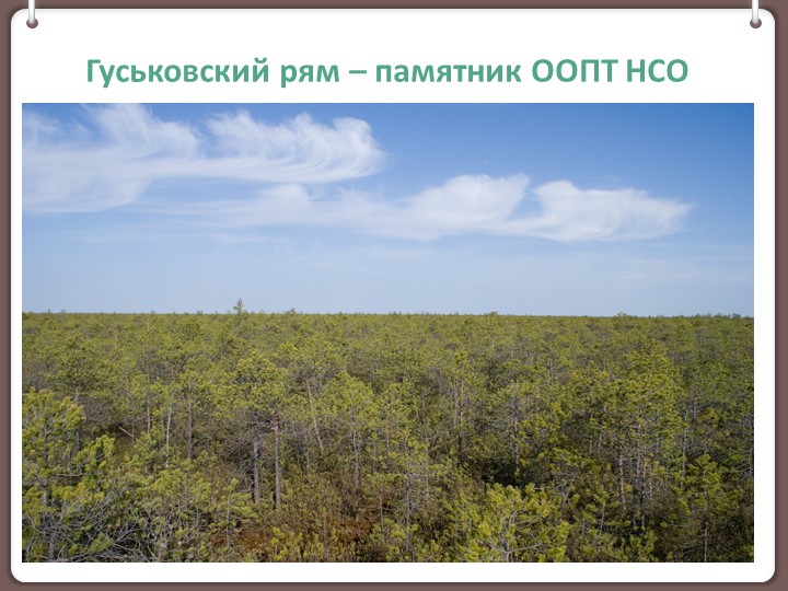 Презентация к занятию по экологии на тему "Гуськовский рям"(6 класс) - Скачать школьные презентации PowerPoint бесплатно | Портал бесплатных презентаций school-present.com