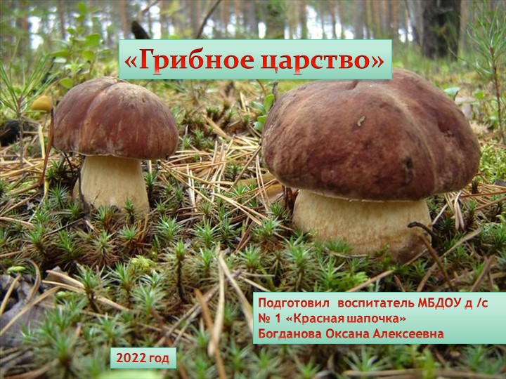 Презентация для подготовителной группы " Грибное царство" - Скачать школьные презентации PowerPoint бесплатно | Портал бесплатных презентаций school-present.com