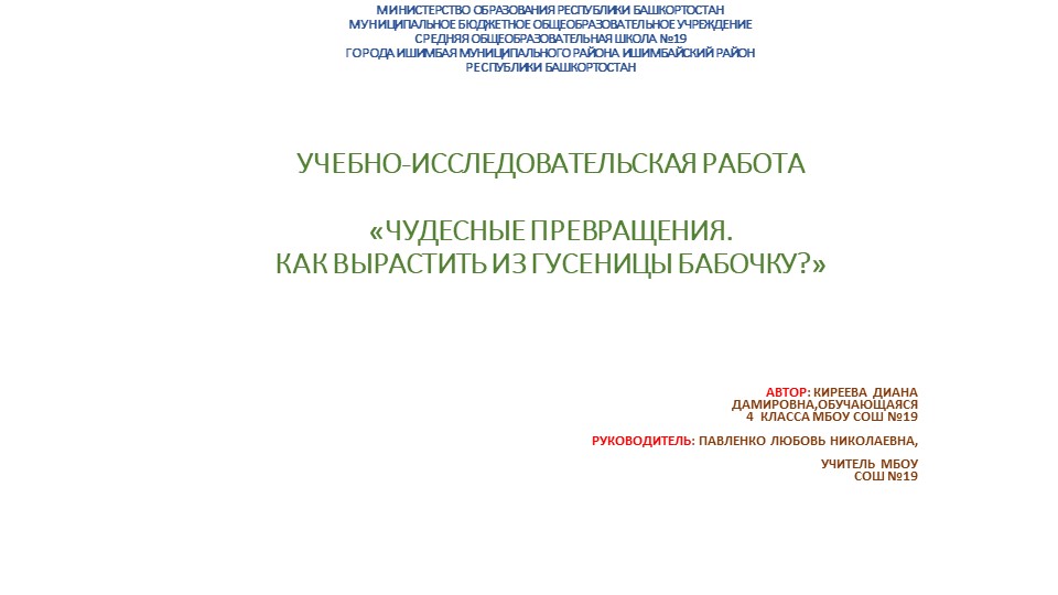 Исследовательская работа "Гусеница" выполнена ученицей 4 класса - Скачать школьные презентации PowerPoint бесплатно | Портал бесплатных презентаций school-present.com