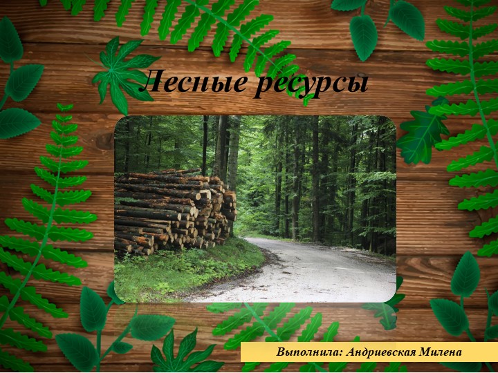 Презентация на тему " Лесные ресурсы" ( 10 класс) - Скачать школьные презентации PowerPoint бесплатно | Портал бесплатных презентаций school-present.com