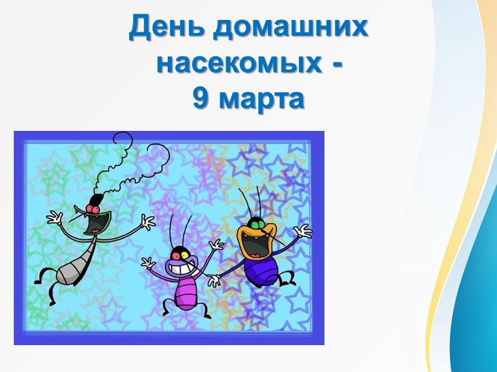 Презентация на тему "Домашние насекомые" (2-3 класс) - Скачать школьные презентации PowerPoint бесплатно | Портал бесплатных презентаций school-present.com