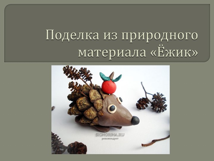 Презентация по технологии на тему "Поделка из природного материала.Ежик" - Скачать школьные презентации PowerPoint бесплатно | Портал бесплатных презентаций school-present.com