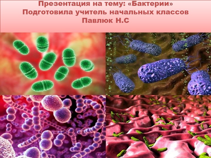 Презентация "Презентация по теме бактерии" - Скачать школьные презентации PowerPoint бесплатно | Портал бесплатных презентаций school-present.com