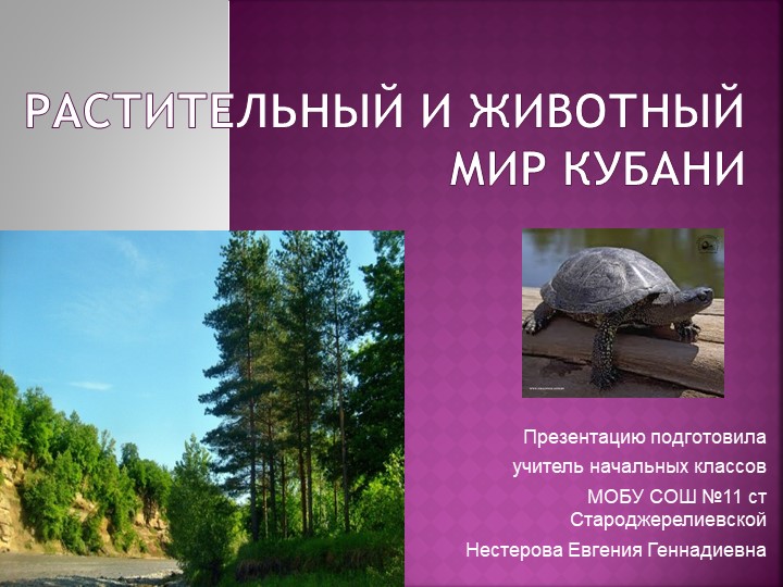 Презентация "Растительный и животный мир Кубани" - Скачать школьные презентации PowerPoint бесплатно | Портал бесплатных презентаций school-present.com