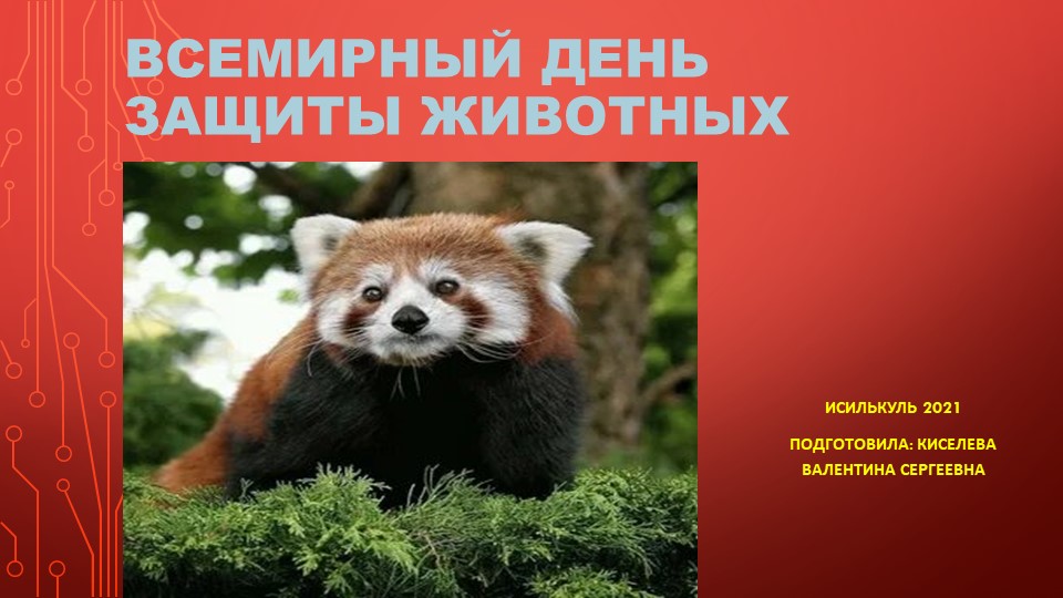 Презентация "Красная книга"для сценария к празднику "В мире животных" дополнительное образование - Скачать школьные презентации PowerPoint бесплатно | Портал бесплатных презентаций school-present.com