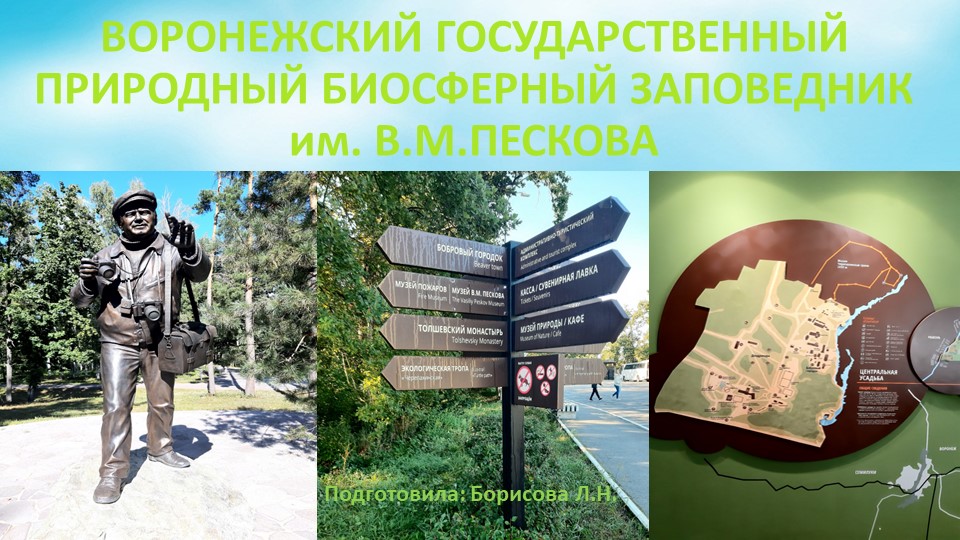 Презентация по краеведению " Интересные факты о бобрах" - Скачать школьные презентации PowerPoint бесплатно | Портал бесплатных презентаций school-present.com