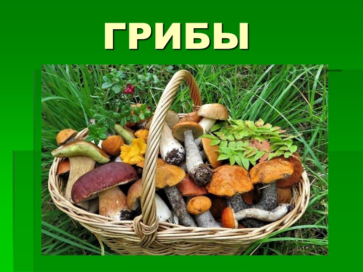 Презентация по окружающему миру на тему "Грибы". - Скачать школьные презентации PowerPoint бесплатно | Портал бесплатных презентаций school-present.com
