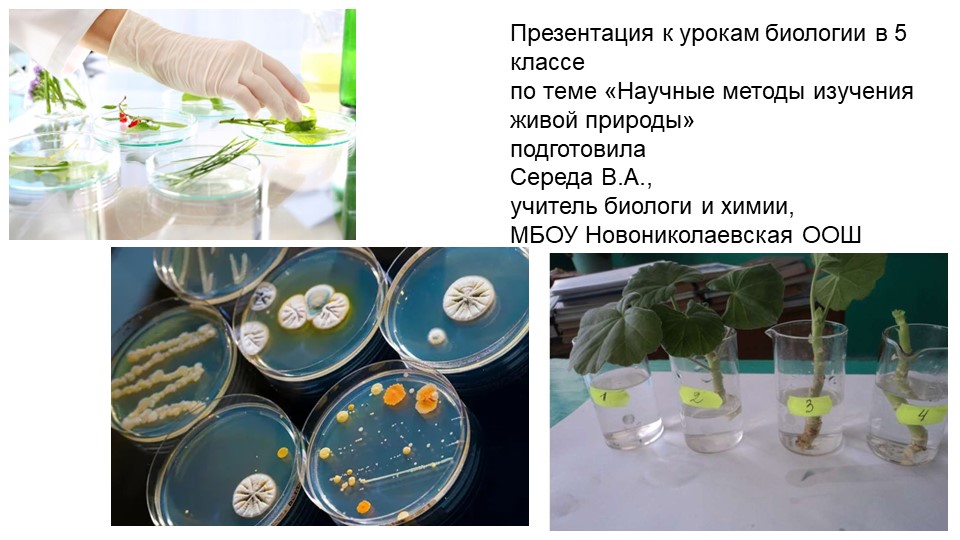 Презентация по биологии на тему "Научные методы изучения живой природы" (5 класс) - Скачать школьные презентации PowerPoint бесплатно | Портал бесплатных презентаций school-present.com