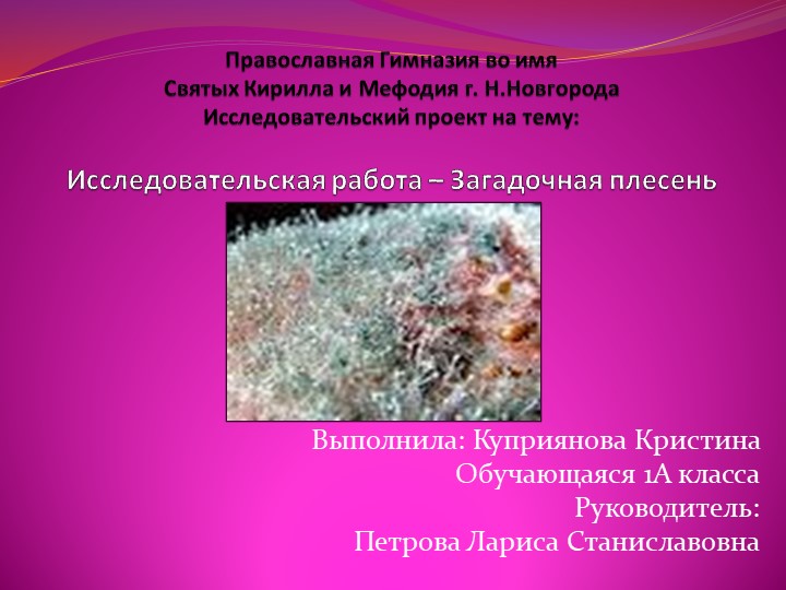 Презентация "Эта загадочная плесень" - Скачать школьные презентации PowerPoint бесплатно | Портал бесплатных презентаций school-present.com