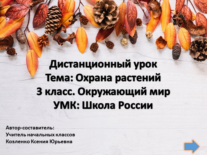 Охрана растений ОМ 3 кл.,1ч. Школа России - Скачать школьные презентации PowerPoint бесплатно | Портал бесплатных презентаций school-present.com