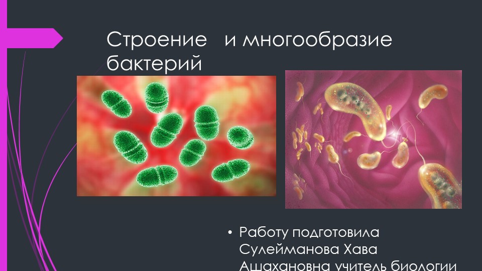 Презентация "Строение и многообразие бактерий" - Скачать школьные презентации PowerPoint бесплатно | Портал бесплатных презентаций school-present.com