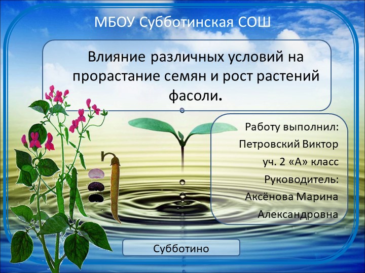 Презентация "Влияние различных условий на прорастание семян и рост растений фасоли." - Скачать школьные презентации PowerPoint бесплатно | Портал бесплатных презентаций school-present.com
