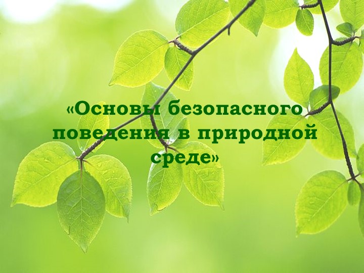 "Что такое экология"Презентация на тему _Основы безопасного поведения в природной среде_ - Скачать школьные презентации PowerPoint бесплатно | Портал бесплатных презентаций school-present.com