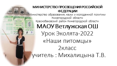 МАОУ Ветлужская ОШ Урок Эколята-2022 «Наши питомцы» Всероссийский урок «Эколята-молодые защитники природы». - Скачать школьные презентации PowerPoint бесплатно | Портал бесплатных презентаций school-present.com
