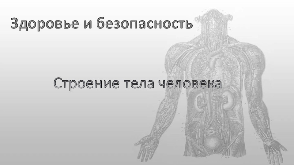 Презентация по окружающему миру "Здоровье и безопасность, органы человека" - Скачать школьные презентации PowerPoint бесплатно | Портал бесплатных презентаций school-present.com