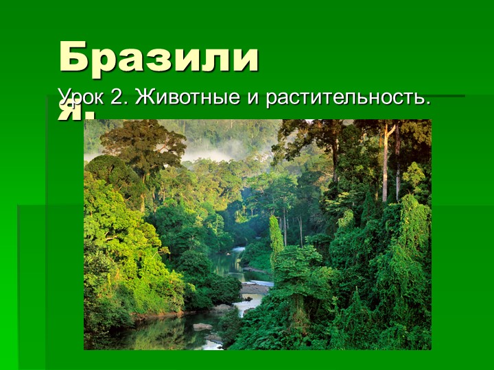 Презентация по страноведению на тему "Бразилия 2 занятие" - Скачать школьные презентации PowerPoint бесплатно | Портал бесплатных презентаций school-present.com