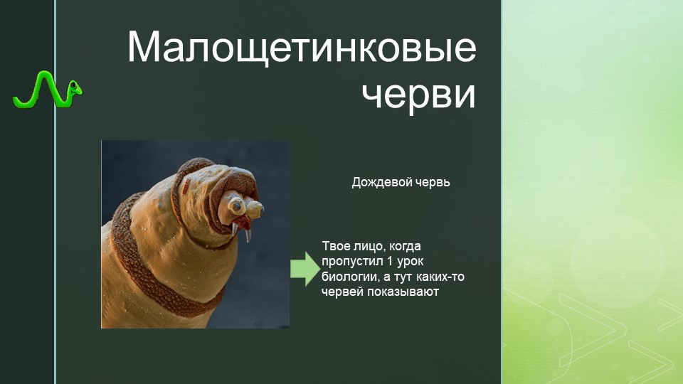 Презентация к уроку по теме "Малощетинковые черви" - Скачать школьные презентации PowerPoint бесплатно | Портал бесплатных презентаций school-present.com