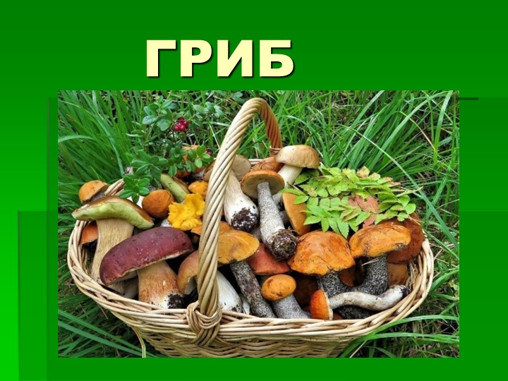 Презентация по предмету познаю мир на тему "Грибы" старшая группа - Скачать школьные презентации PowerPoint бесплатно | Портал бесплатных презентаций school-present.com