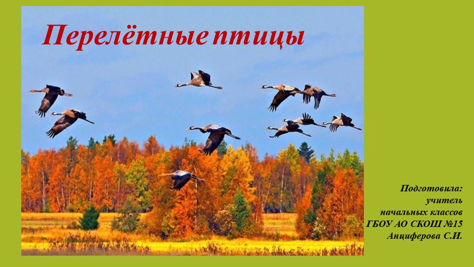 Презентация к уроку мир природы и человека по теме: "Перелётные птицы" (3 класс) - Скачать школьные презентации PowerPoint бесплатно | Портал бесплатных презентаций school-present.com