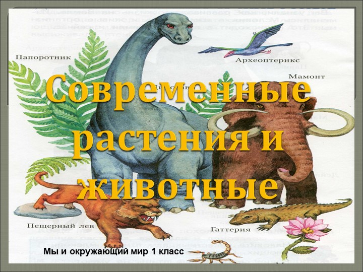Современные растения и животные - Скачать школьные презентации PowerPoint бесплатно | Портал бесплатных презентаций school-present.com