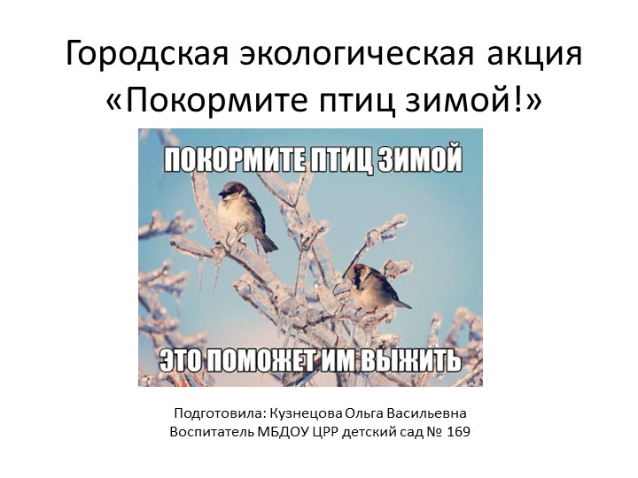 Акция "Покормите птиц зимой" - Скачать школьные презентации PowerPoint бесплатно | Портал бесплатных презентаций school-present.com