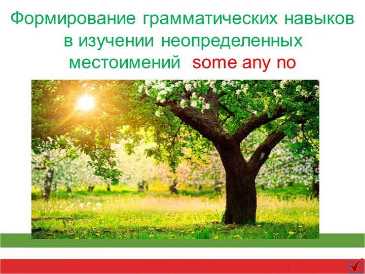 Презентация по английскому языку на тему "Формирование грамматических навыков в изучении неопределенных местоимений some any no" - Скачать школьные презентации PowerPoint бесплатно | Портал бесплатных презентаций school-present.com
