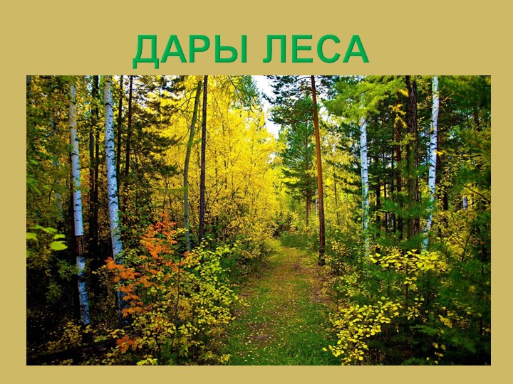 Презентация по окружающему миру на тему "Дары леса" - Скачать школьные презентации PowerPoint бесплатно | Портал бесплатных презентаций school-present.com