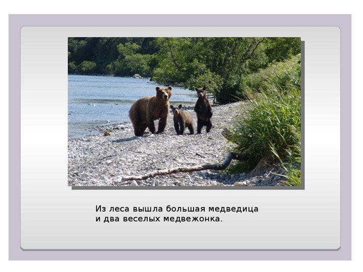 Презентация В. Бианки " Купание медвежат" - Скачать школьные презентации PowerPoint бесплатно | Портал бесплатных презентаций school-present.com