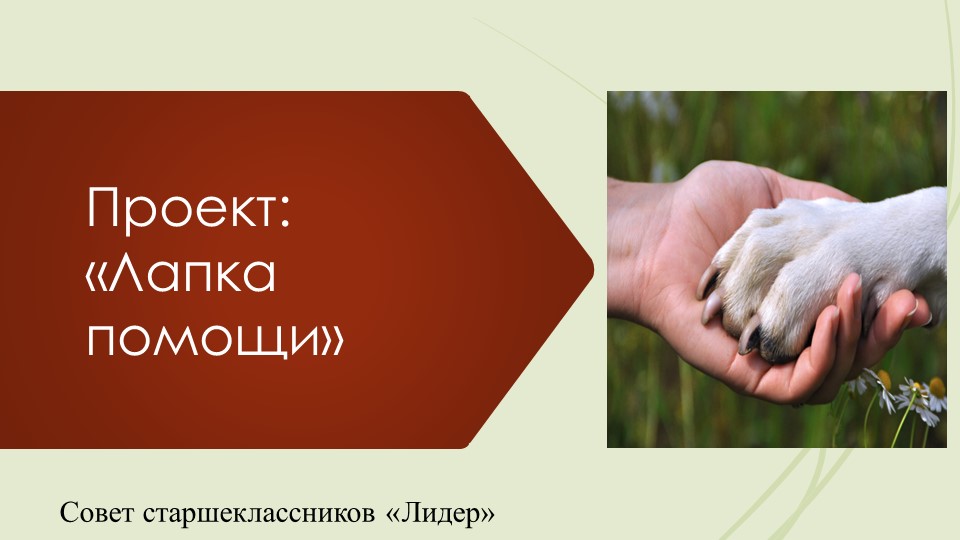 Презентация проекта "Лапка помощи" - Скачать школьные презентации PowerPoint бесплатно | Портал бесплатных презентаций school-present.com