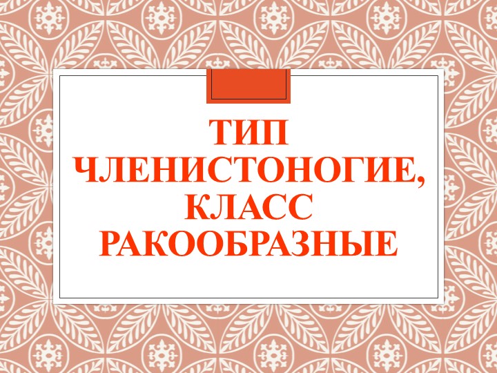 Презентация "Тип Членистоногие, класс Ракообразные" - Скачать школьные презентации PowerPoint бесплатно | Портал бесплатных презентаций school-present.com