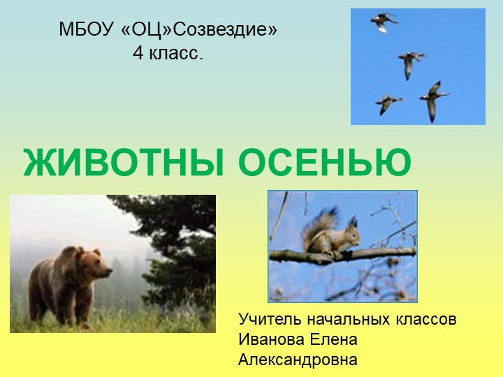 Презентация по миру природы и человека на тему "Животные осенью" - Скачать школьные презентации PowerPoint бесплатно | Портал бесплатных презентаций school-present.com