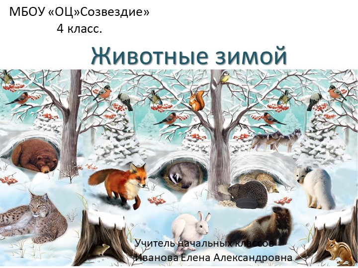 Презентация по миру природы и человека на тему "Животные зимой" - Скачать школьные презентации PowerPoint бесплатно | Портал бесплатных презентаций school-present.com