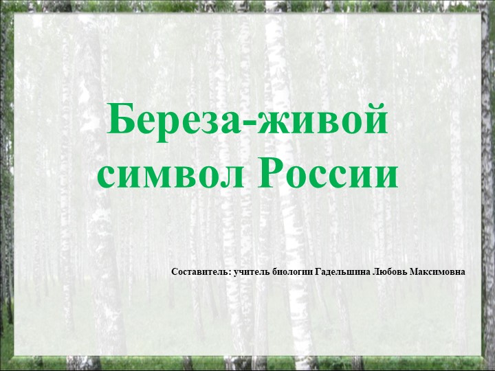 Презентация на тему "Береза - живой символ России" - Скачать школьные презентации PowerPoint бесплатно | Портал бесплатных презентаций school-present.com