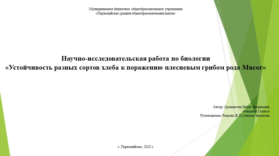 Презентация "Устойчивость разных сортов хлеба к поражению плесневым грибом рода Mucor" - Скачать школьные презентации PowerPoint бесплатно | Портал бесплатных презентаций school-present.com