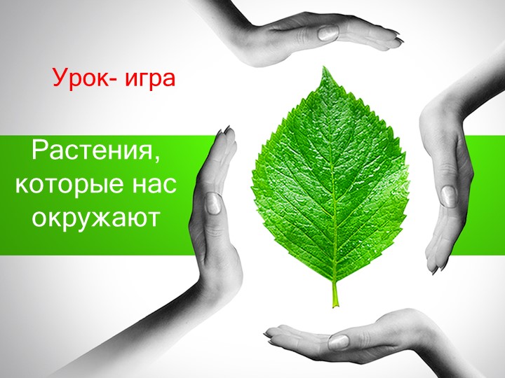 Презентация по кубановедению 6 класс"Растения, которые нас окружают" - Скачать школьные презентации PowerPoint бесплатно | Портал бесплатных презентаций school-present.com
